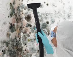 Trusted Cooperstown, NY Mold Prevention & Removal  Experts